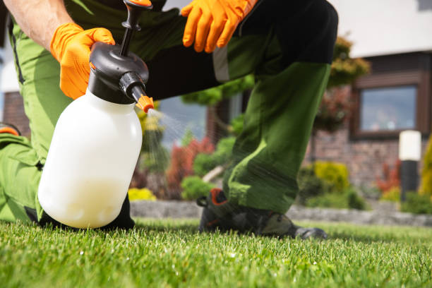 Best Residential Pest Control  in Aragon, GA