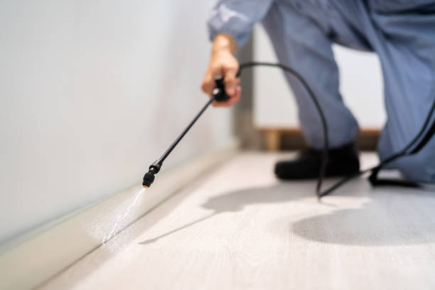 Best Pest Prevention Services  in Aragon, GA