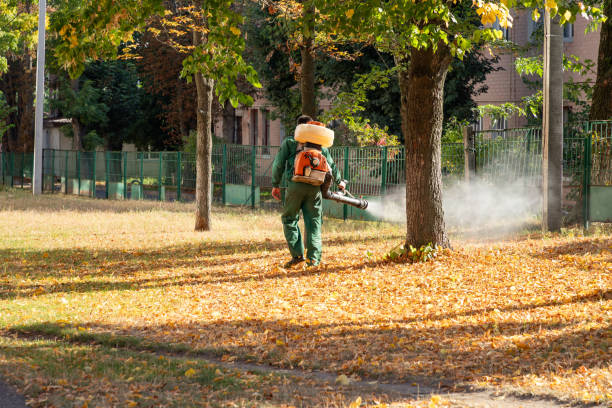 Professional Pest Control in Aragon, GA