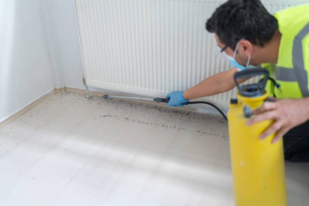 Best Mosquito Control Services  in Aragon, GA