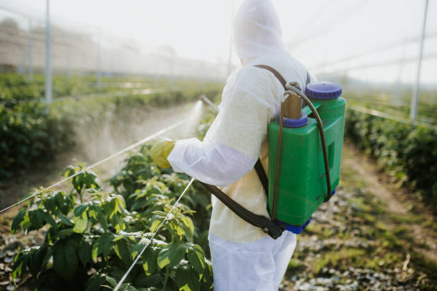 Best Best Pest Control Companies  in Aragon, GA